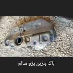 درب پژو